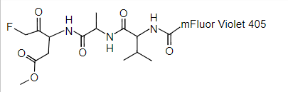 https://img.medsci.cn/e73eefcea40976357f460123cbf1e819c54e5106c9b457225be13b1cbc991aff.png