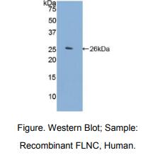 https://msimg.bioon.com/bionline/goods-no-pic.png