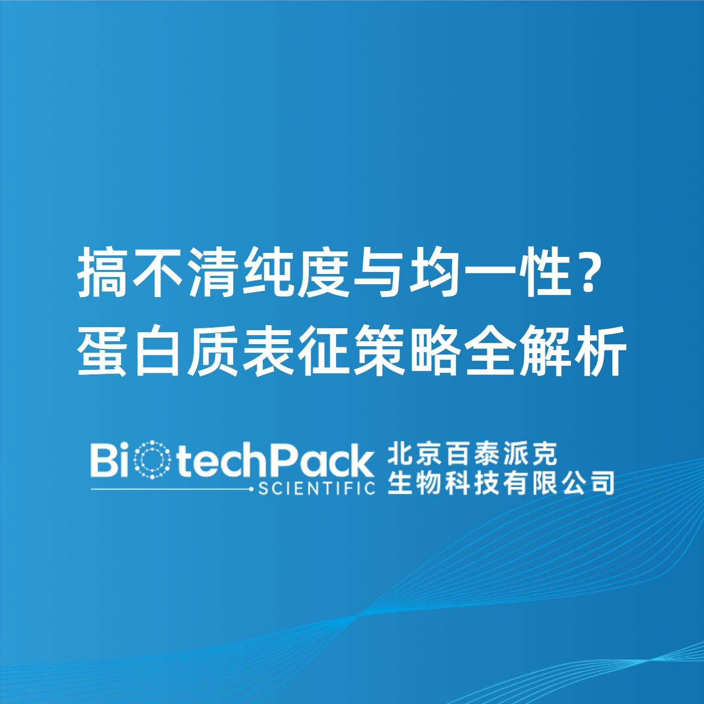 搞不清纯度与均一性？蛋白质表征策略全解析