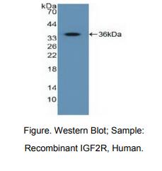 https://msimg.bioon.com/bionline/goods-no-pic.png