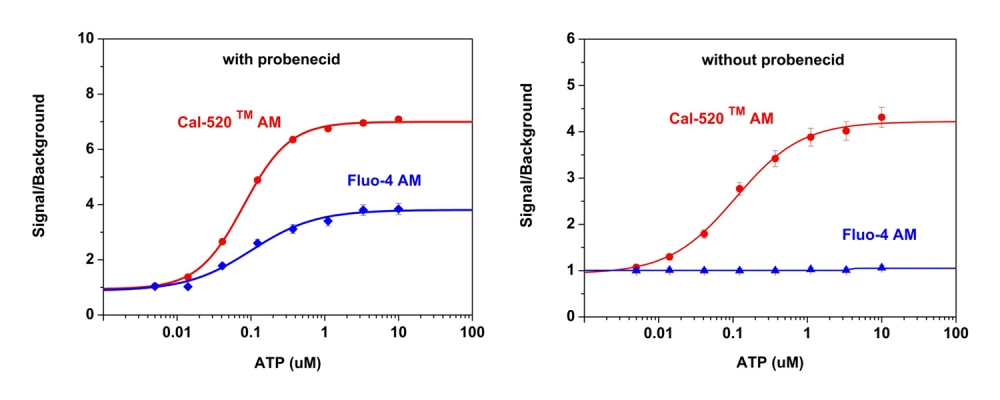 钙离子荧光探针Cal-520, AM 货号21130