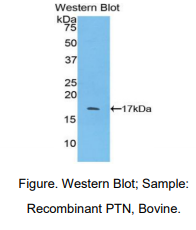 https://msimg.bioon.com/bionline/goods-no-pic.png