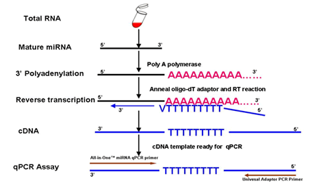 https://img.medsci.cn/09f7f9b396aaea8c5a2398de56f920980d508f8e7313325b130eae0a6c633bd4.png