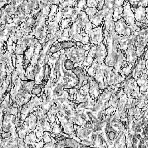 https://msimg.bioon.com/bionline/goods-no-pic.png