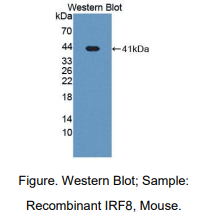 https://msimg.bioon.com/bionline/goods-no-pic.png