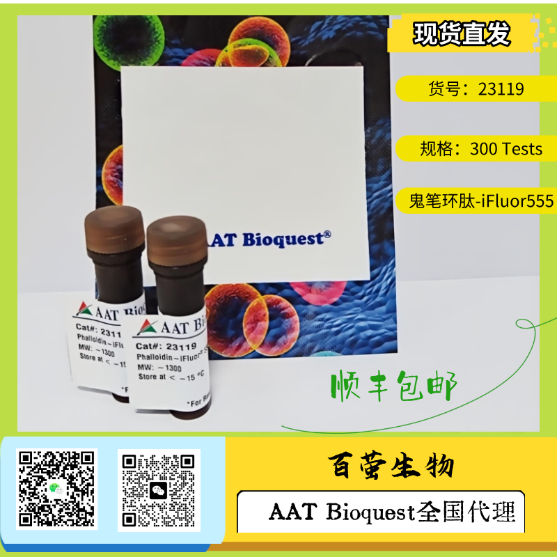 鬼笔环肽-iFluor 555标记 货号23119