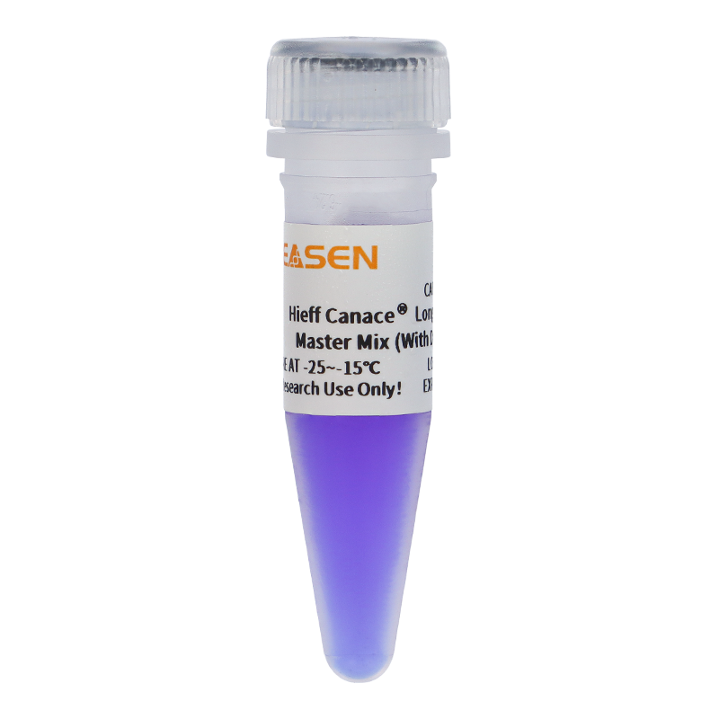 Hieff Canace®Veritas Long PCR Master Mix (With Dye)