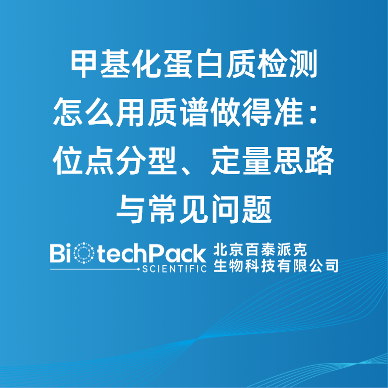 甲基化蛋白质检测怎么用质谱做得准：位点分型、定量思路与常见问题