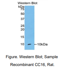 https://msimg.bioon.com/bionline/goods-no-pic.png