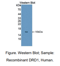 https://msimg.bioon.com/bionline/goods-no-pic.png