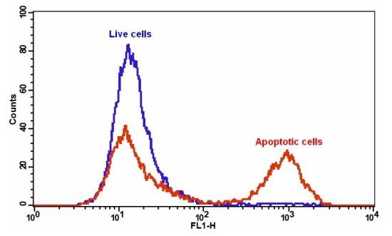 https://img.medsci.cn/e73eefcea40976357f460123cbf1e819c54e5106c9b457225be13b1cbc991aff.png