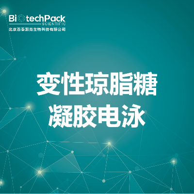 变性琼脂糖凝胶电泳