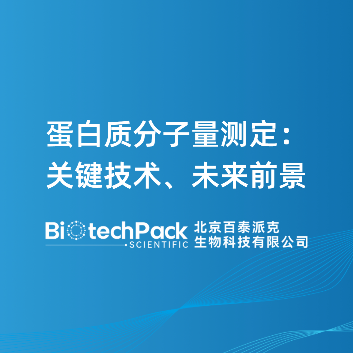蛋白质分子量测定：关键技术、未来前景