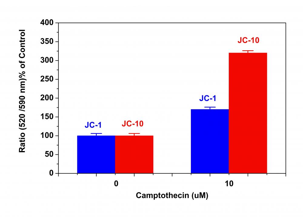 Cell Meter JC-10线粒体膜电位检测试剂盒 *适合微孔板检测*