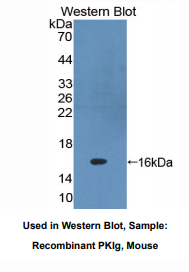 https://msimg.bioon.com/bionline/goods-no-pic.png