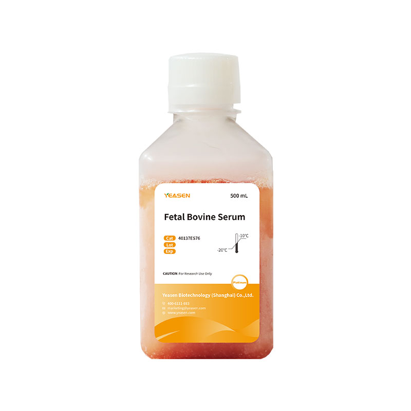 Fetal Bovine Serum Platinum 胎牛血清（南美超级）