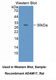 https://msimg.bioon.com/bionline/goods-no-pic.png