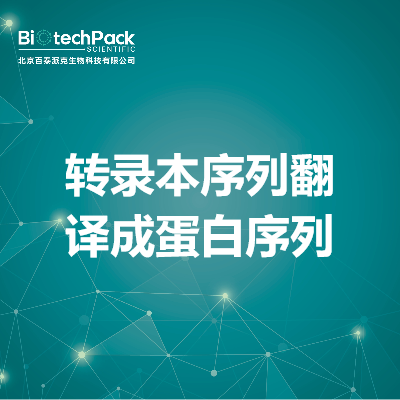 转录本序列翻译成蛋白序列