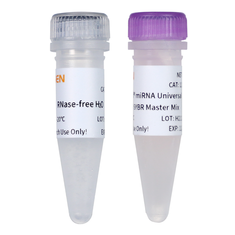 Hieff® miRNA UniversalqPCR SYBR Master Mix(加A法)