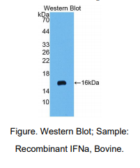 https://msimg.bioon.com/bionline/goods-no-pic.png