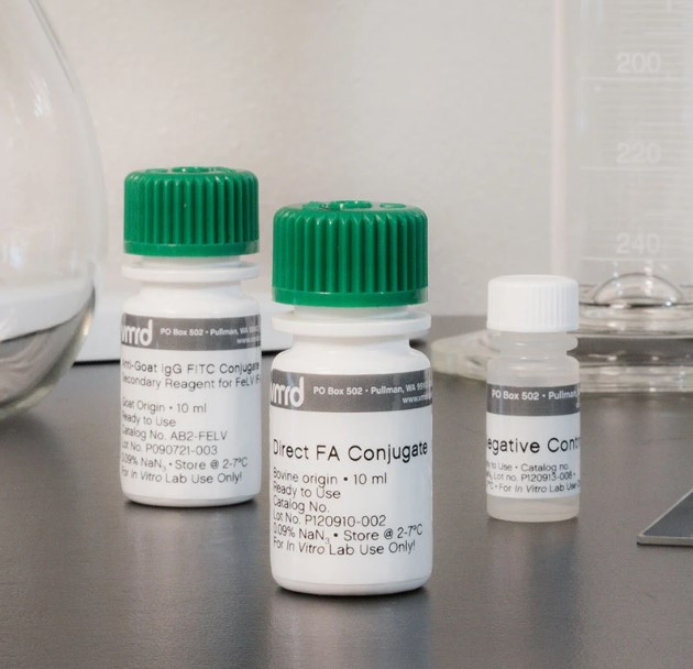 VMRD猪腺病毒FITC荧光标记多抗