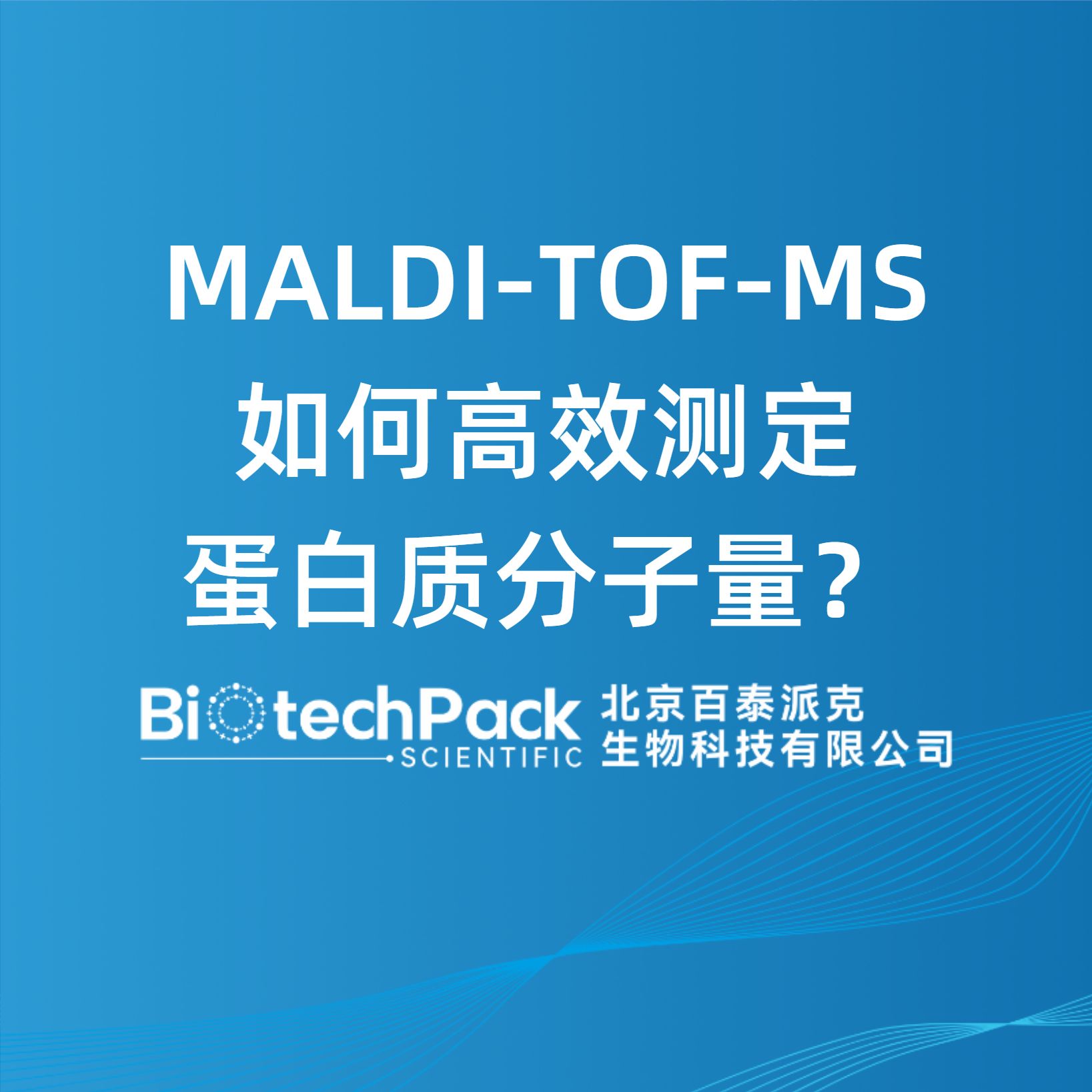 MALDI-TOF-MS 如何高效測定蛋白質分子量？