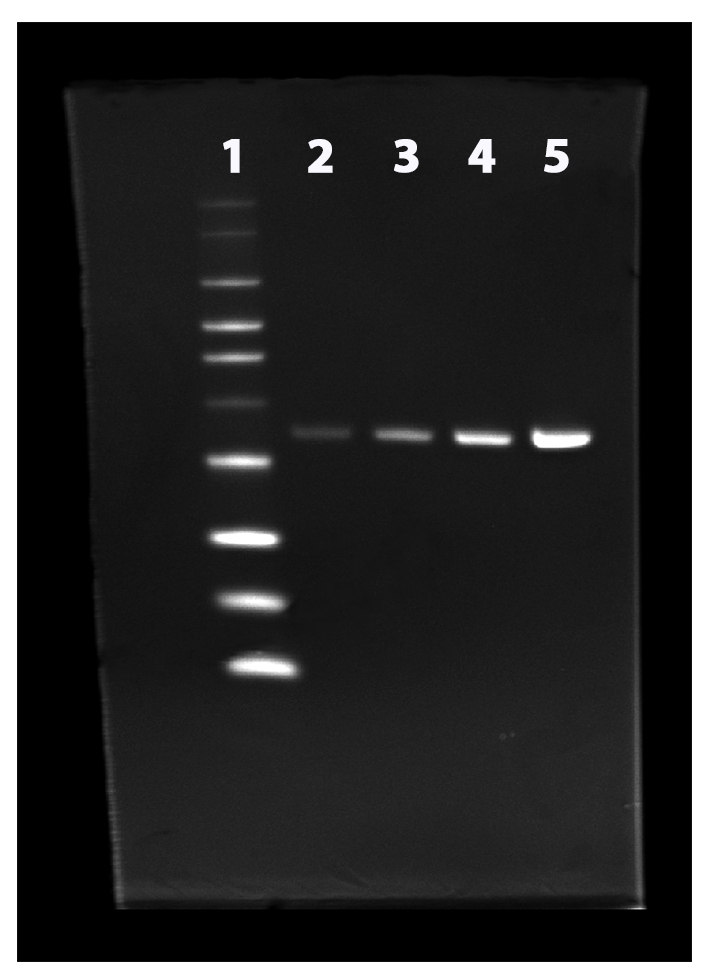 https://img.medsci.cn/e73eefcea40976357f460123cbf1e819c54e5106c9b457225be13b1cbc991aff.png