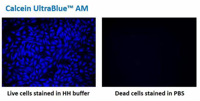 https://img.medsci.cn/e73eefcea40976357f460123cbf1e819c54e5106c9b457225be13b1cbc991aff.png