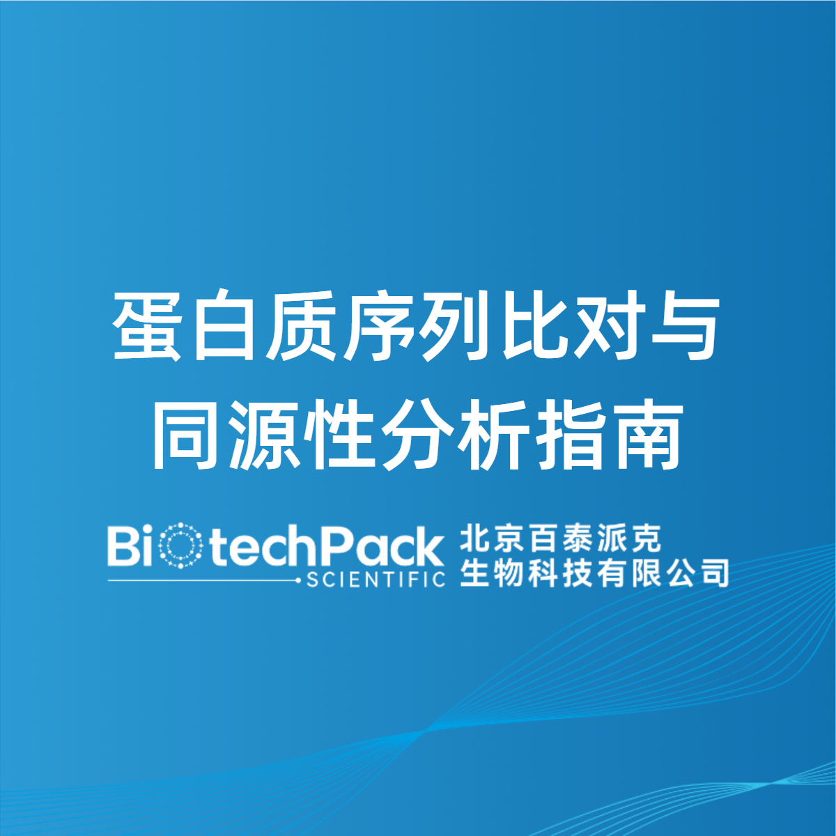 蛋白质序列比对与同源性分析指南
