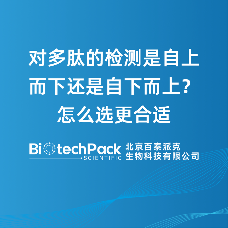 对多肽的检测是自上而下还是自下而上？怎么选更合适