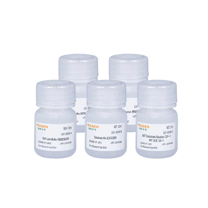 LDH Cytotoxicity Assay Kit 乳酸脱氢酶(LDH)细胞毒性检测试剂盒