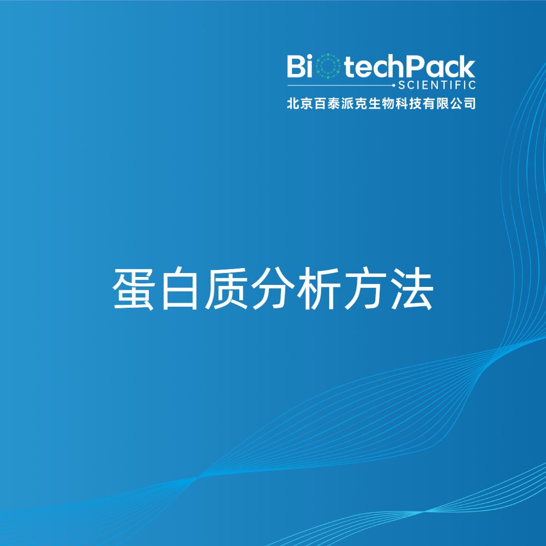 蛋白质分析方法