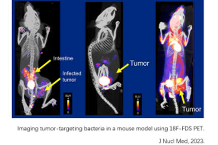 https://img.medsci.cn/6f8b351b013e669ac690586db81407ef12cf3ed2440dd669e8cfdb40a5d88c22.jpg