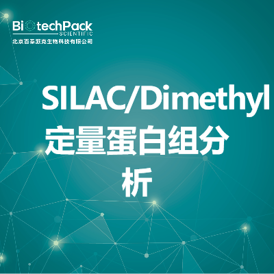 SILAC/Dimethyl定量蛋白组分析_百泰派克生物