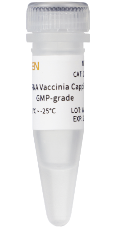 mRNA疫苗加冒酶GMP级(牛痘病毒mRNA加帽酶)