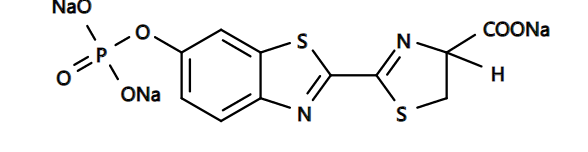 赖氨酸Lys EDANS标记 CAS 146998-27-8