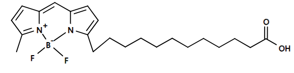 荧光染料C1-Bodi Fluor 500/510-C12 [相当于 BODIPY 500/510 C1, C12]