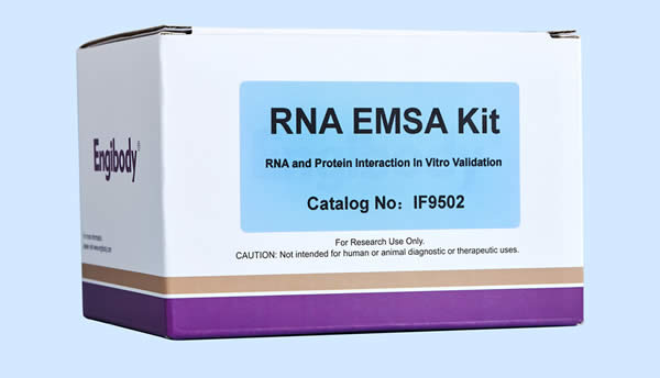 https://img.medsci.cn/3130de052a98e259a93b93bc9ac2c5253c5c2bb0a270ae61f8cfec132b62740f.jpg