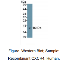 https://msimg.bioon.com/bionline/goods-no-pic.png