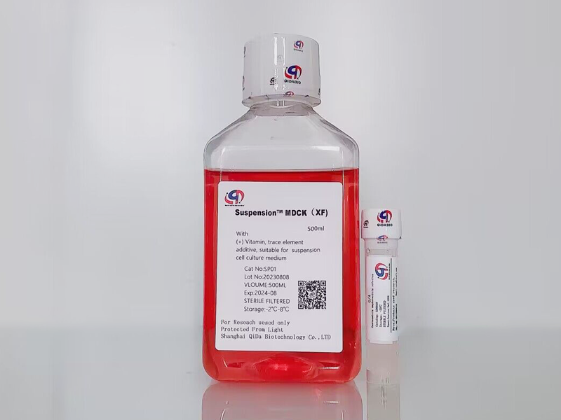 https://img.medsci.cn/89fb048b534fcad8833ccd634f5800a11f7fb953cd1cc43e06fdc674744b57a3.png