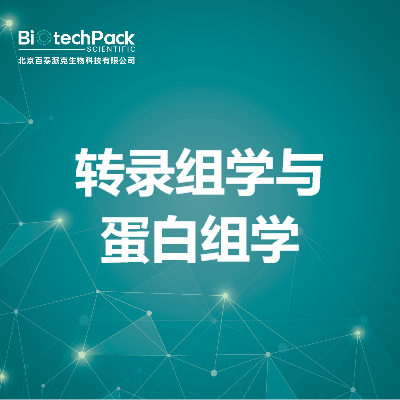 转录组学与蛋白组学