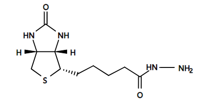 生物素-C2-叠氮化物