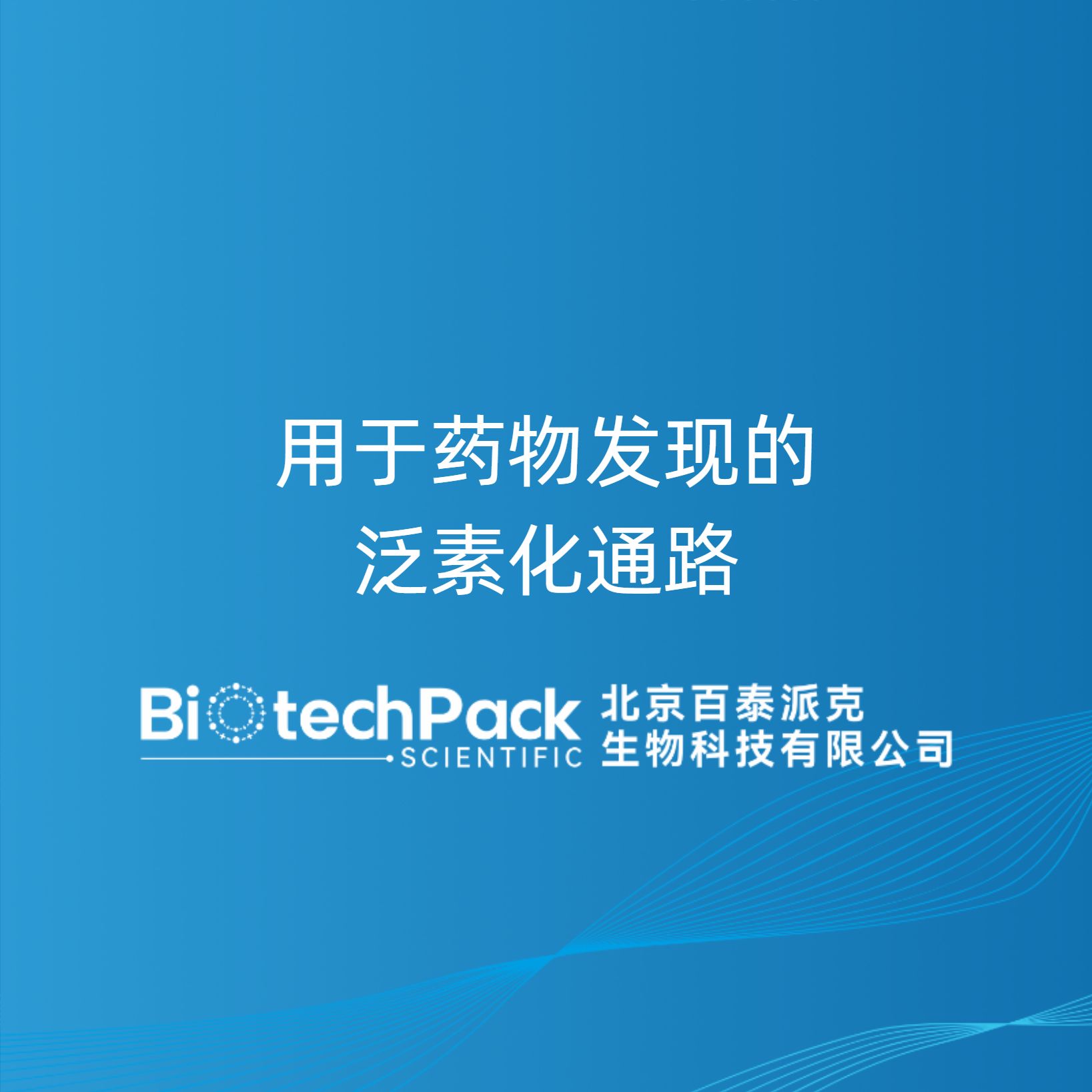 用于药物发现的泛素化通路