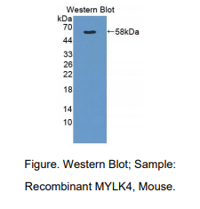 https://msimg.bioon.com/bionline/goods-no-pic.png