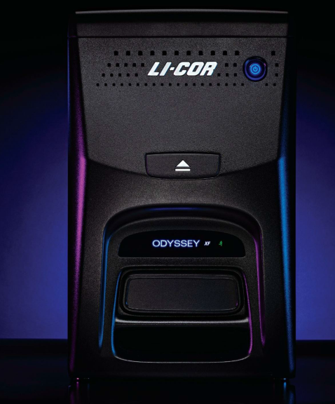 Odyssey® XF  成像分析系统