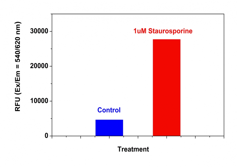 https://img.medsci.cn/e73eefcea40976357f460123cbf1e819c54e5106c9b457225be13b1cbc991aff.png