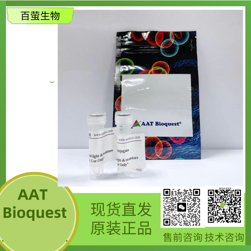 6-ROX C2 Maleimide 6-羧基-C2-罗丹明马来酰亚胺 货号426