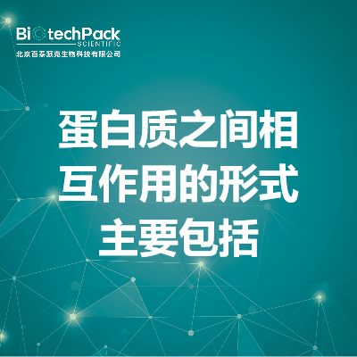 蛋白质之间相互作用的形式主要包括
