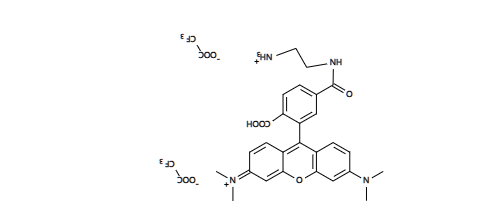 6-羧基四甲基罗丹明乙二胺 6-TAMRA ethylenediamine