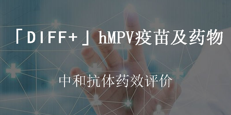 国内临床株的hMPV中和抗体检测实验服务